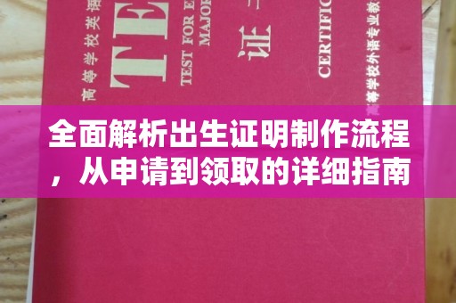 广宁全面解析出生证明制作流程，从申请到领取的详细指南