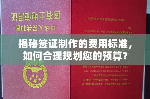广宁揭秘签证制作的费用标准，如何合理规划您的预算？