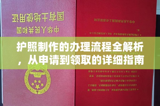 广宁护照制作的办理流程全解析，从申请到领取的详细指南